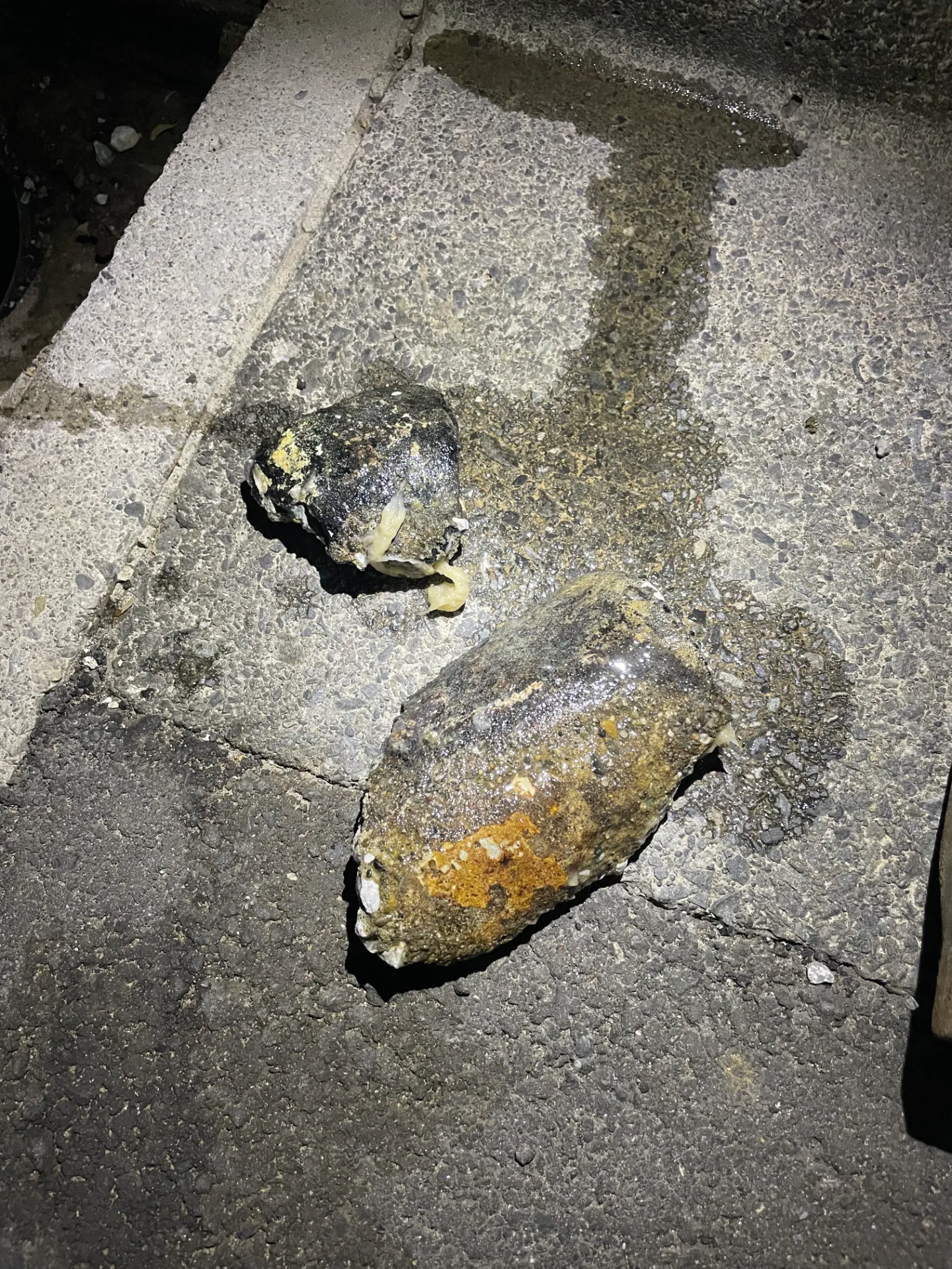 渋谷区 排水詰まり