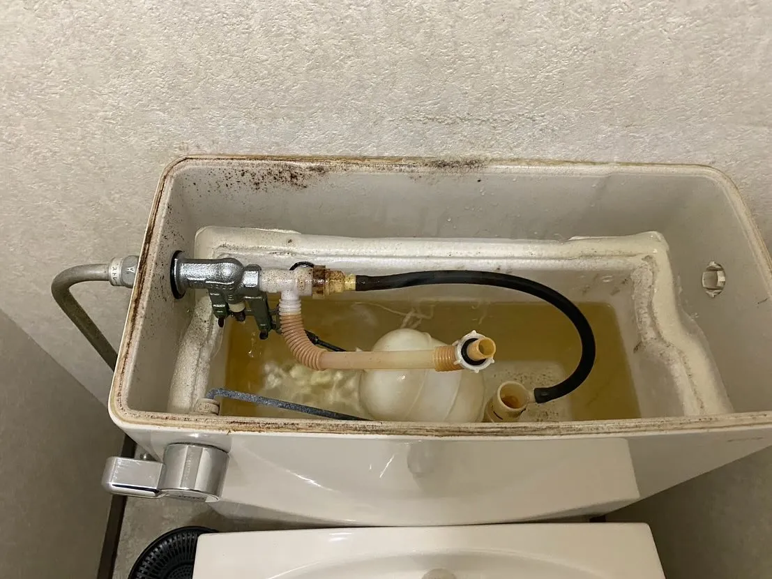 🌊💧水は、私たち人間にとって生命の源であり、日常生活になくて...