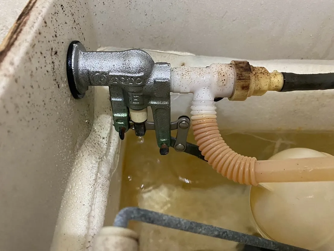 🌊💧水は、私たち人間にとって生命の源であり、日常生活になくて...