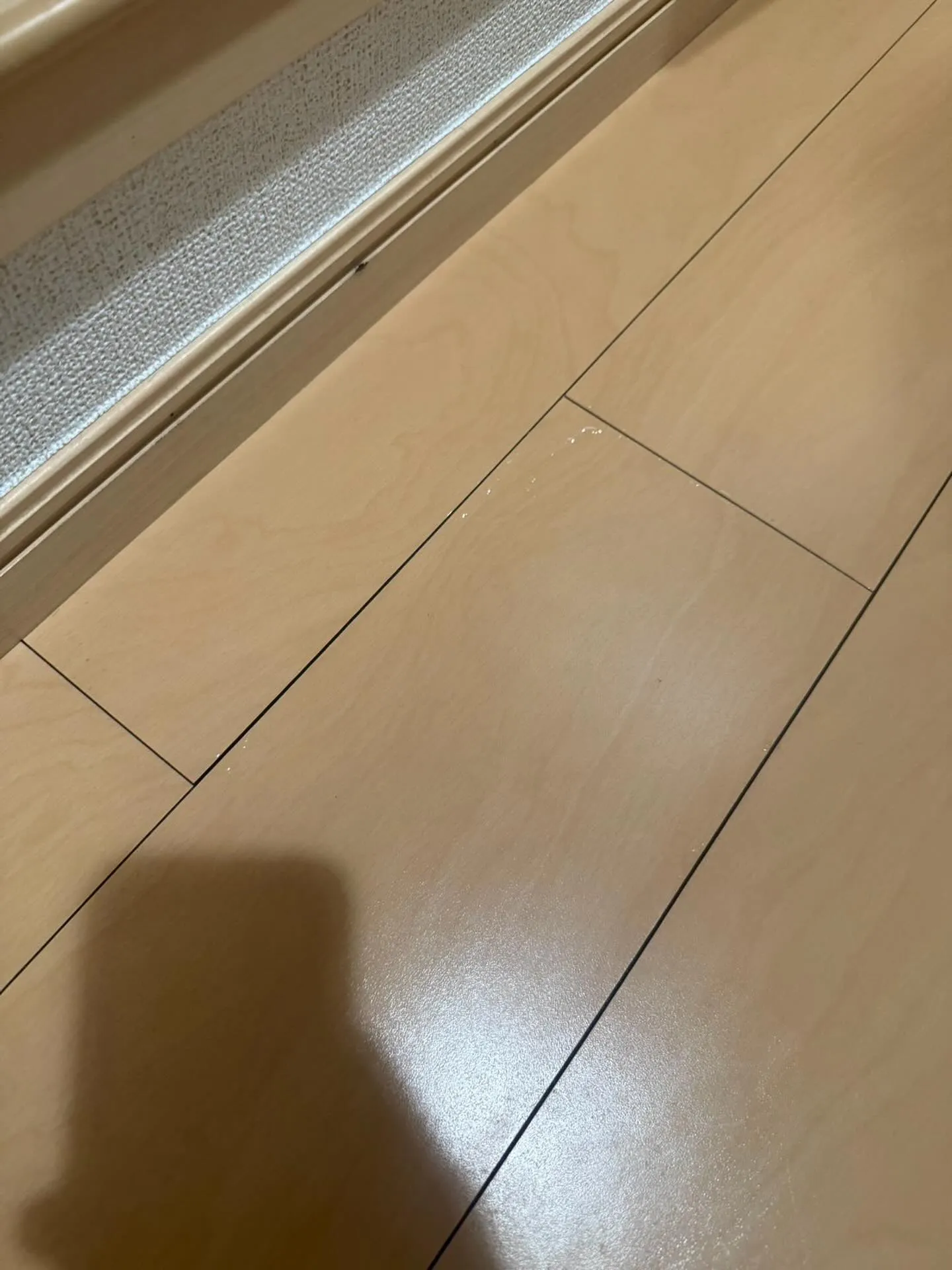😱💧緊急の依頼です！キッチンと脱衣所の間で、フローリングを踏...