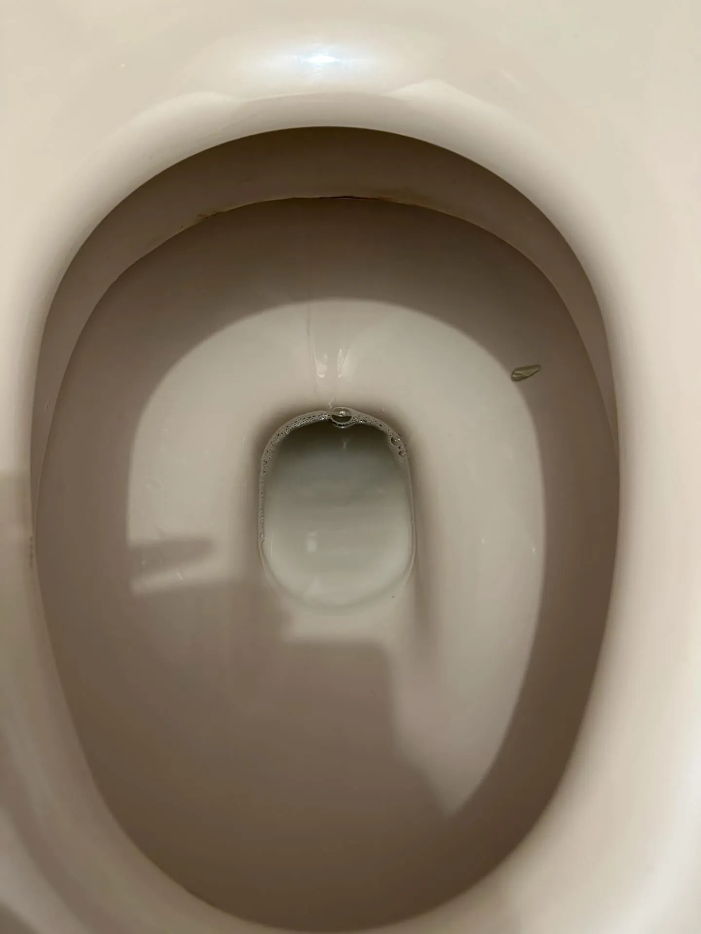 ちょっとしたトイレットアドベンチャーがありました！🚽想像して...