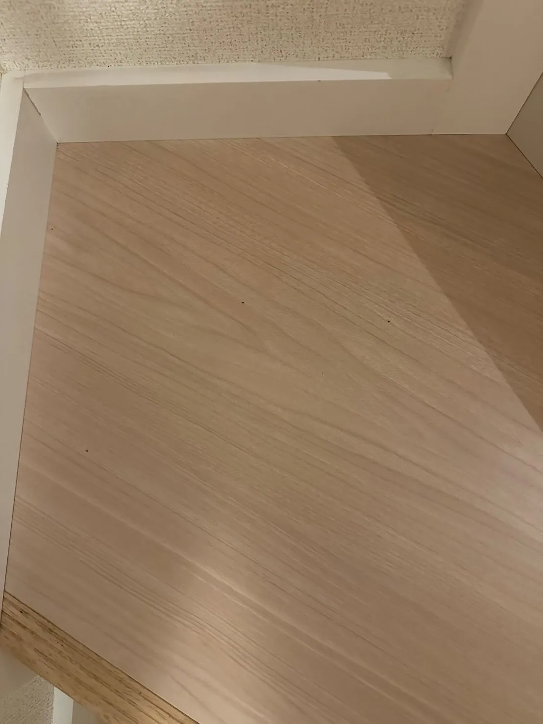 家に帰ったら、2階建てのアパートの2階の窓の下にアリンコさん...