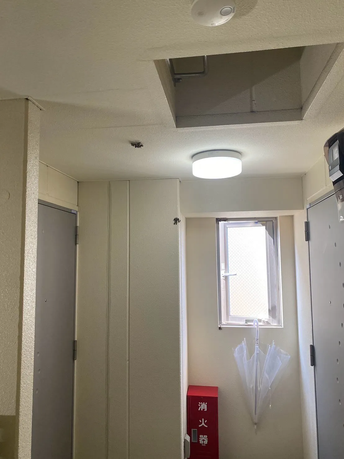 こんにちは！🐝✨株式会社関東メンテナンスです。