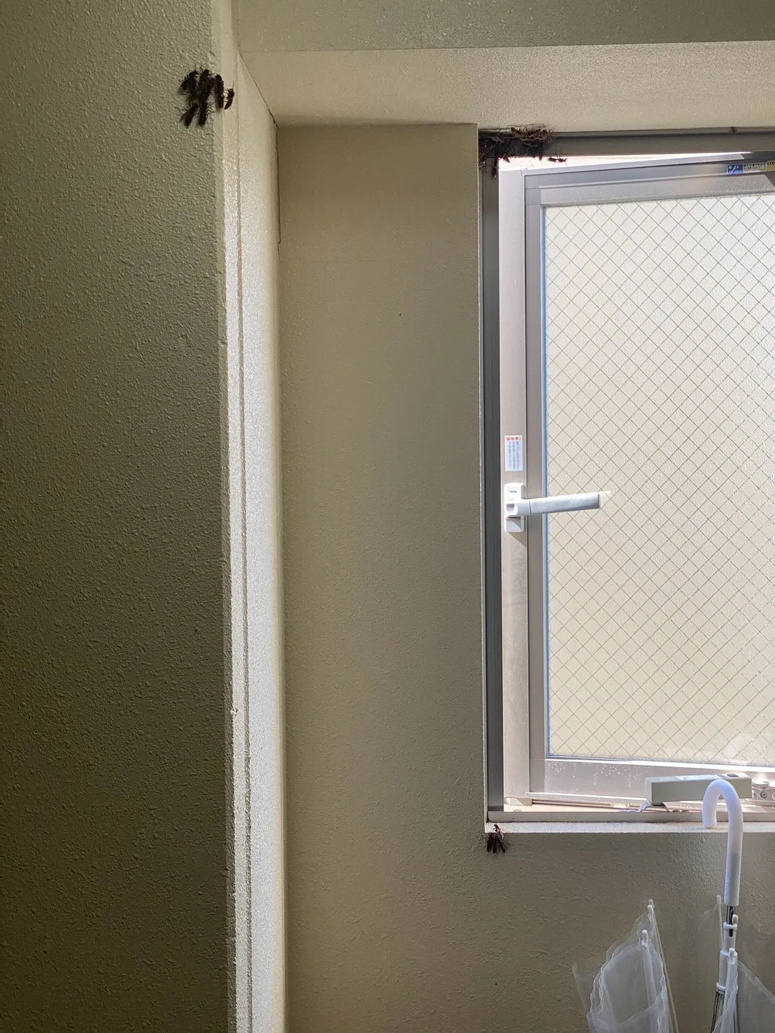 こんにちは！🐝✨株式会社関東メンテナンスです。